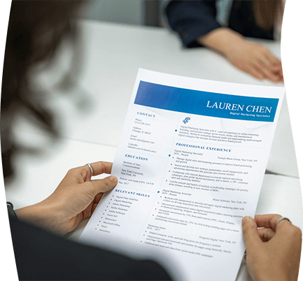 CV Profesional